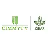 CIMMYT